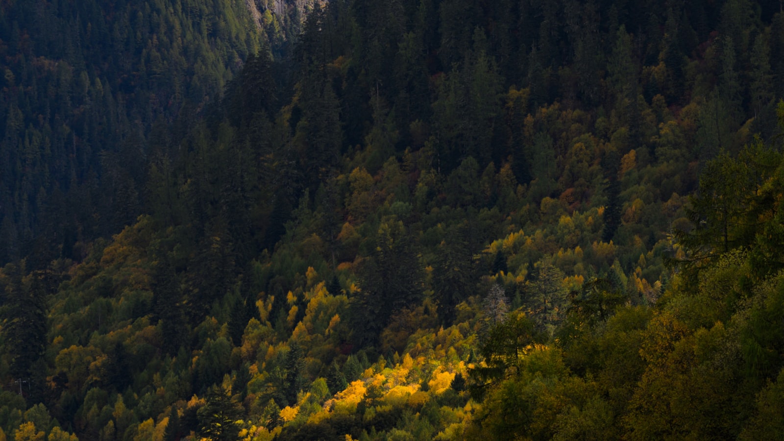 Jiuzhaigou in Autumn: When to Go, Colors & a 4-Day Route (2026) — cover photo
