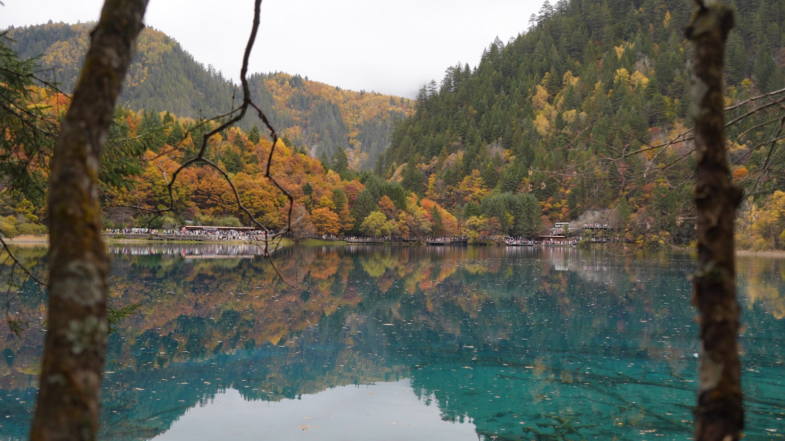 Autumn Red Leaves: 7 Days Following China's Fall Colors (2026) — cover photo