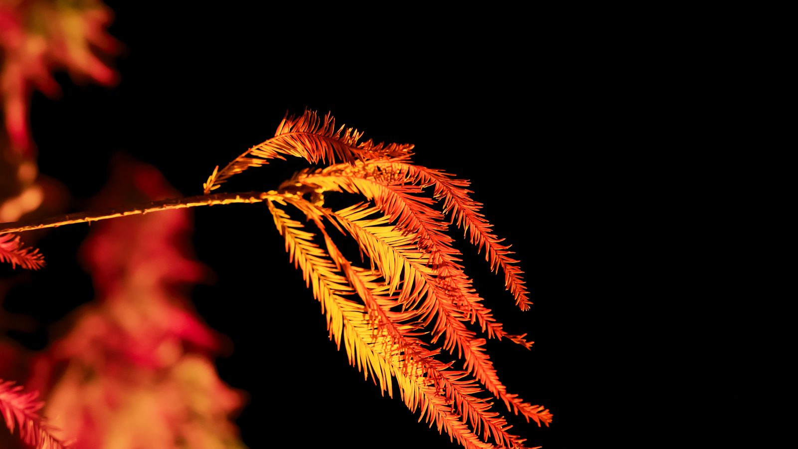 China Autumn Travel: Weather, Where to Go & When (2026) — cover photo