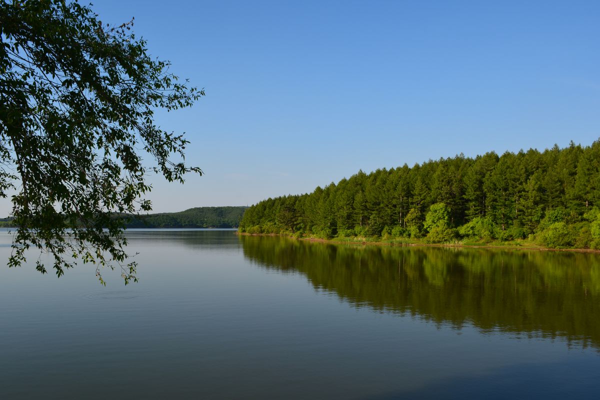 Jingyuetan forest park and frozen lake in winter