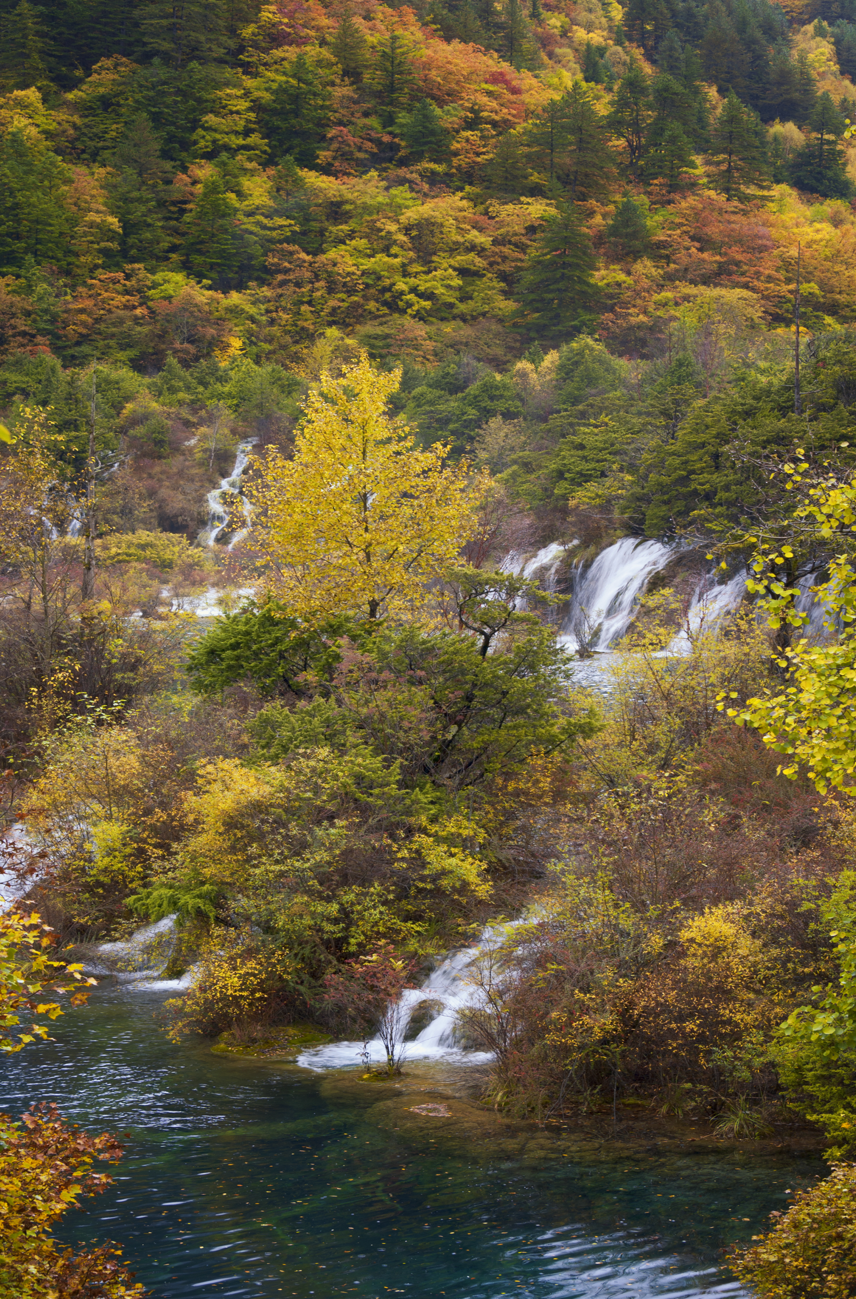 Autumn at Jiuzhaigou turns the forests gold and red around the turquoise lakes