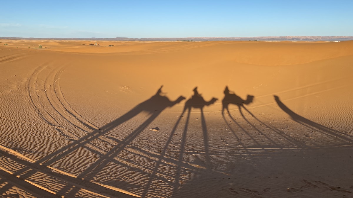 Camel caravan crossing the Singing Sand Dunes