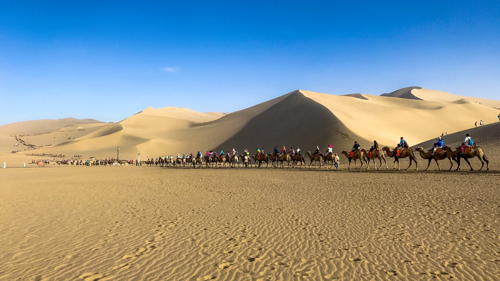 Dunhuang Travel Guide (2026): Mogao Caves & the Silk Road — cover photo