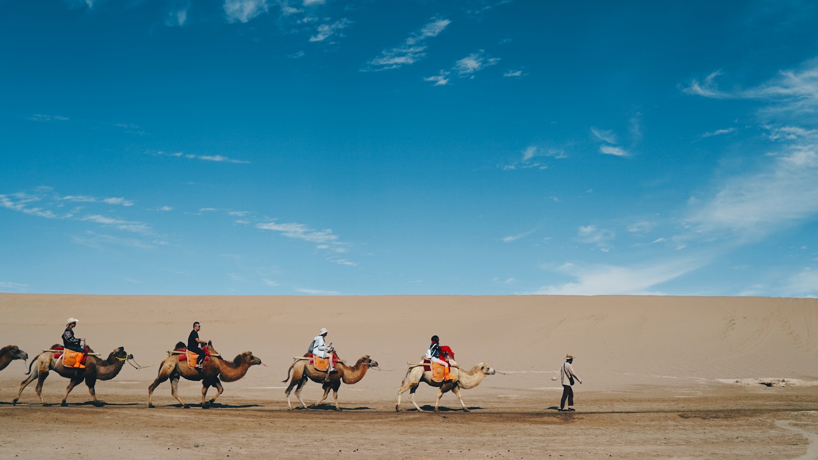 Gansu Travel Guide (2026) — cover photo