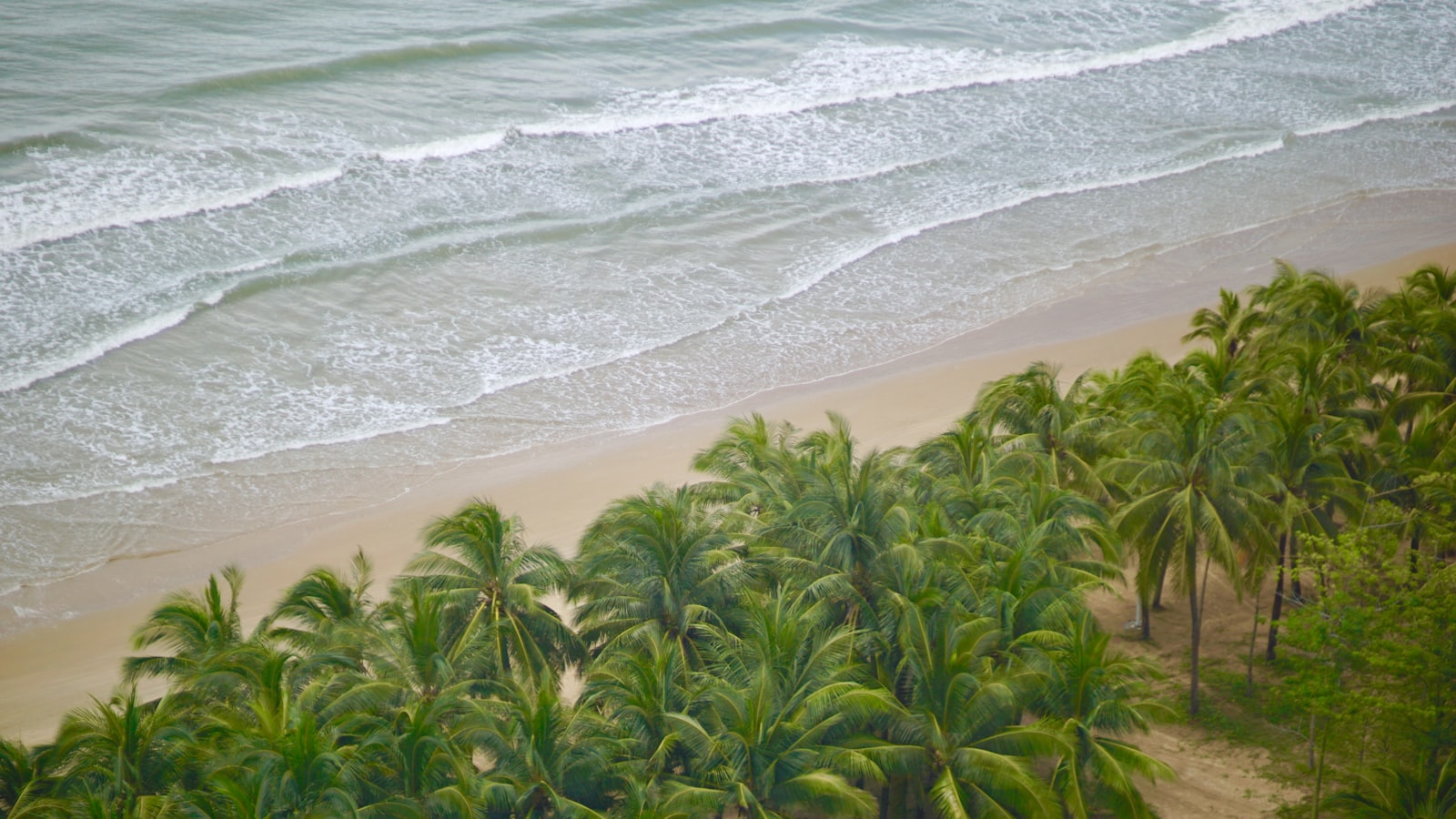 Hainan Visa-Free: 59 Countries, 30 Days (2026 Guide) — cover photo