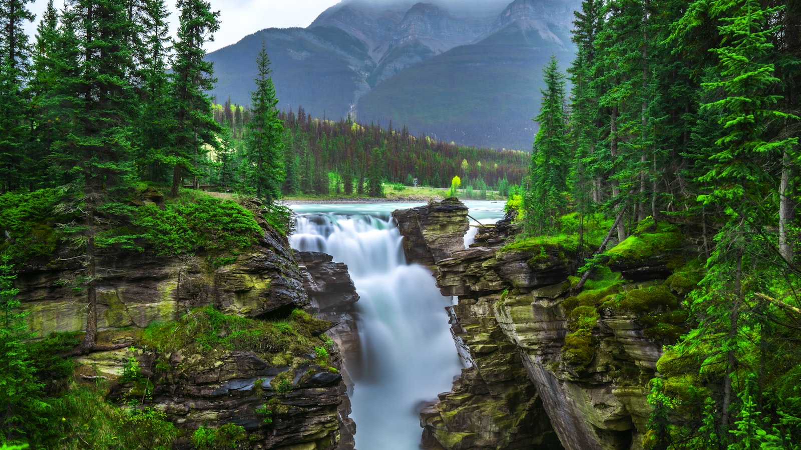 Hiking Jiuzhaigou & Zhangjiajie: Two Scenic Walks Compared (2026) — cover photo