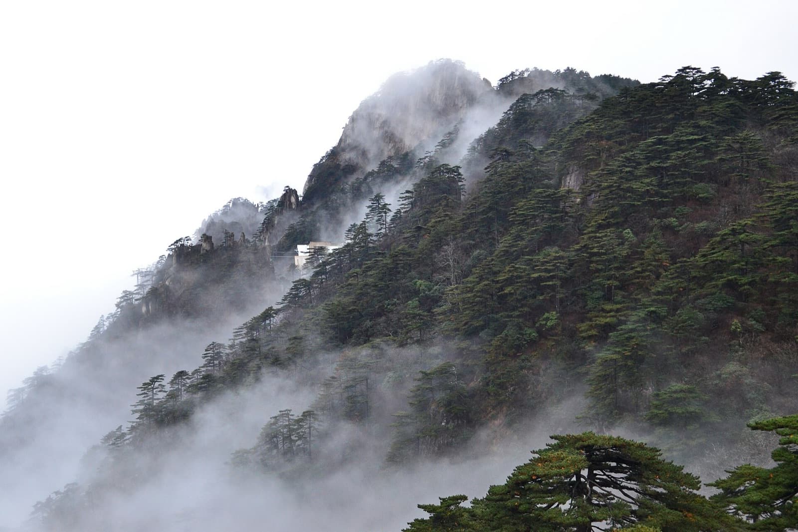 Huangshan mist