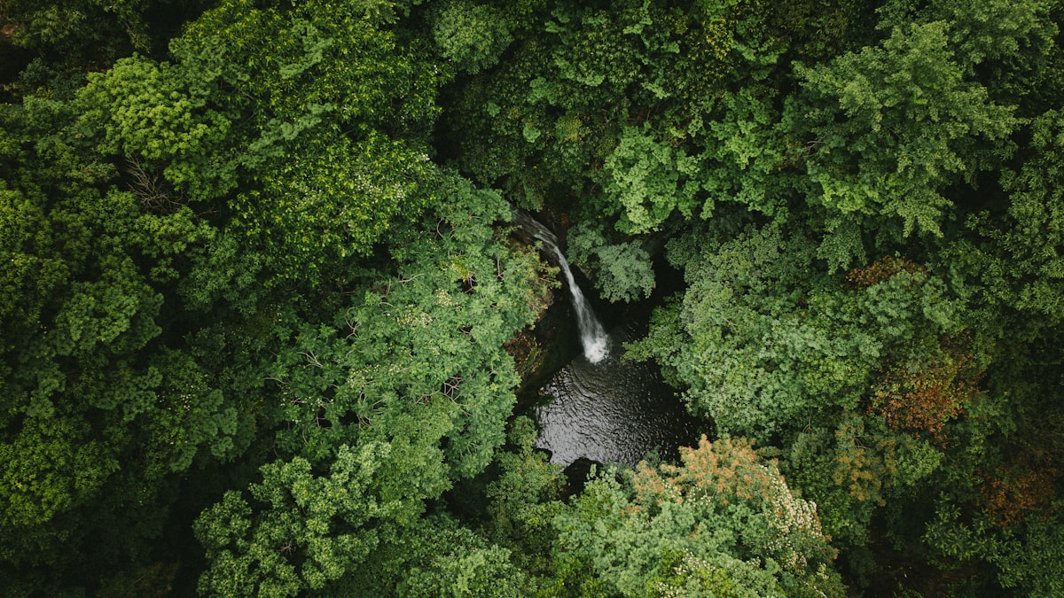 Nuorilang Waterfall in Jiuzhaigou