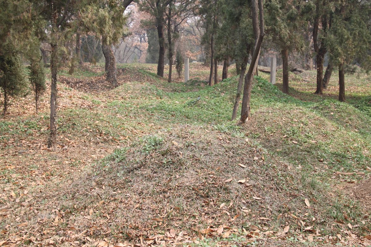 The tree-shaded path through the Kong Family Cemetery in Qufu