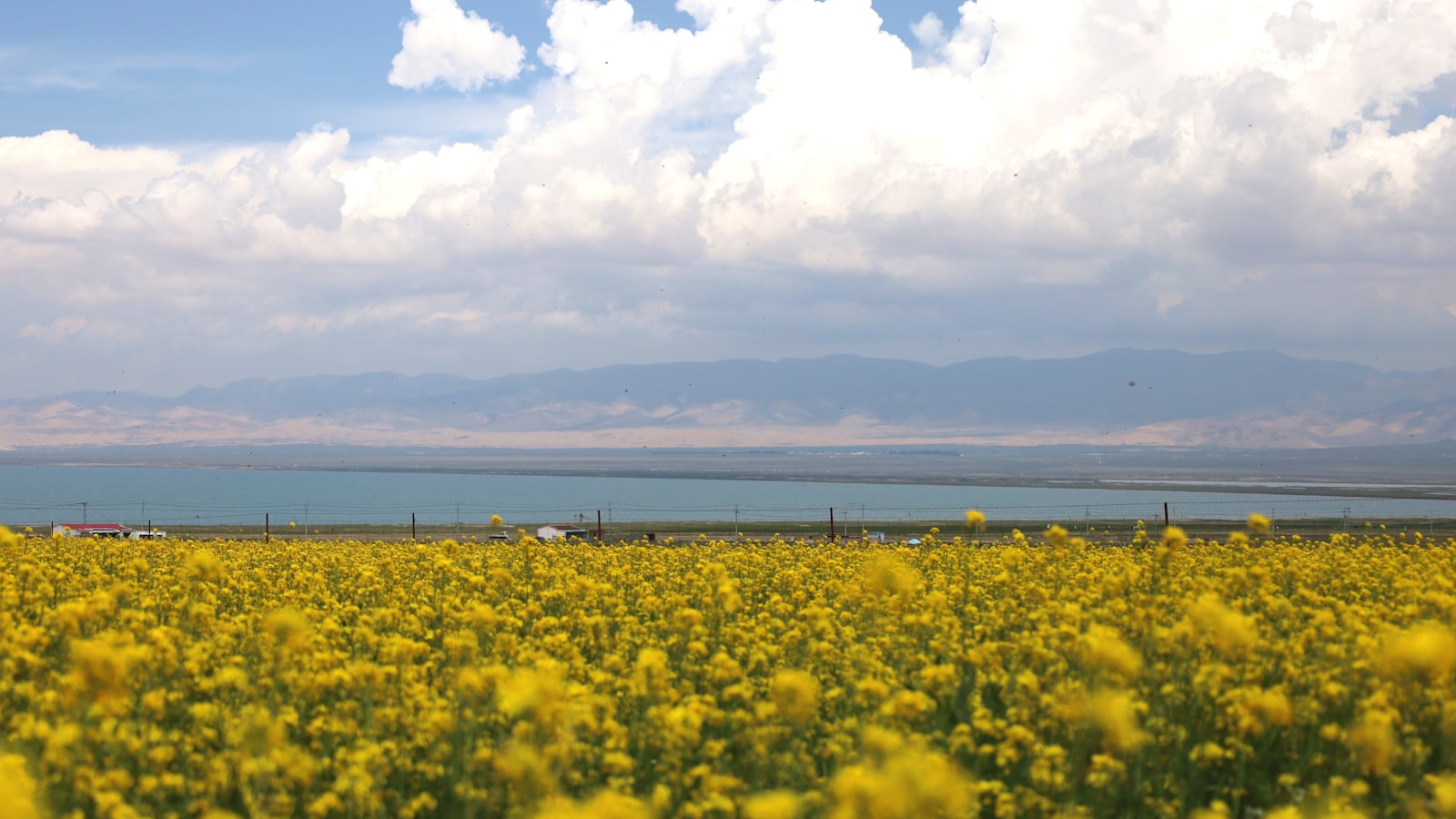 Summer Escape: 7 Days in Cool Yunnan & Qinghai (2026) — cover photo