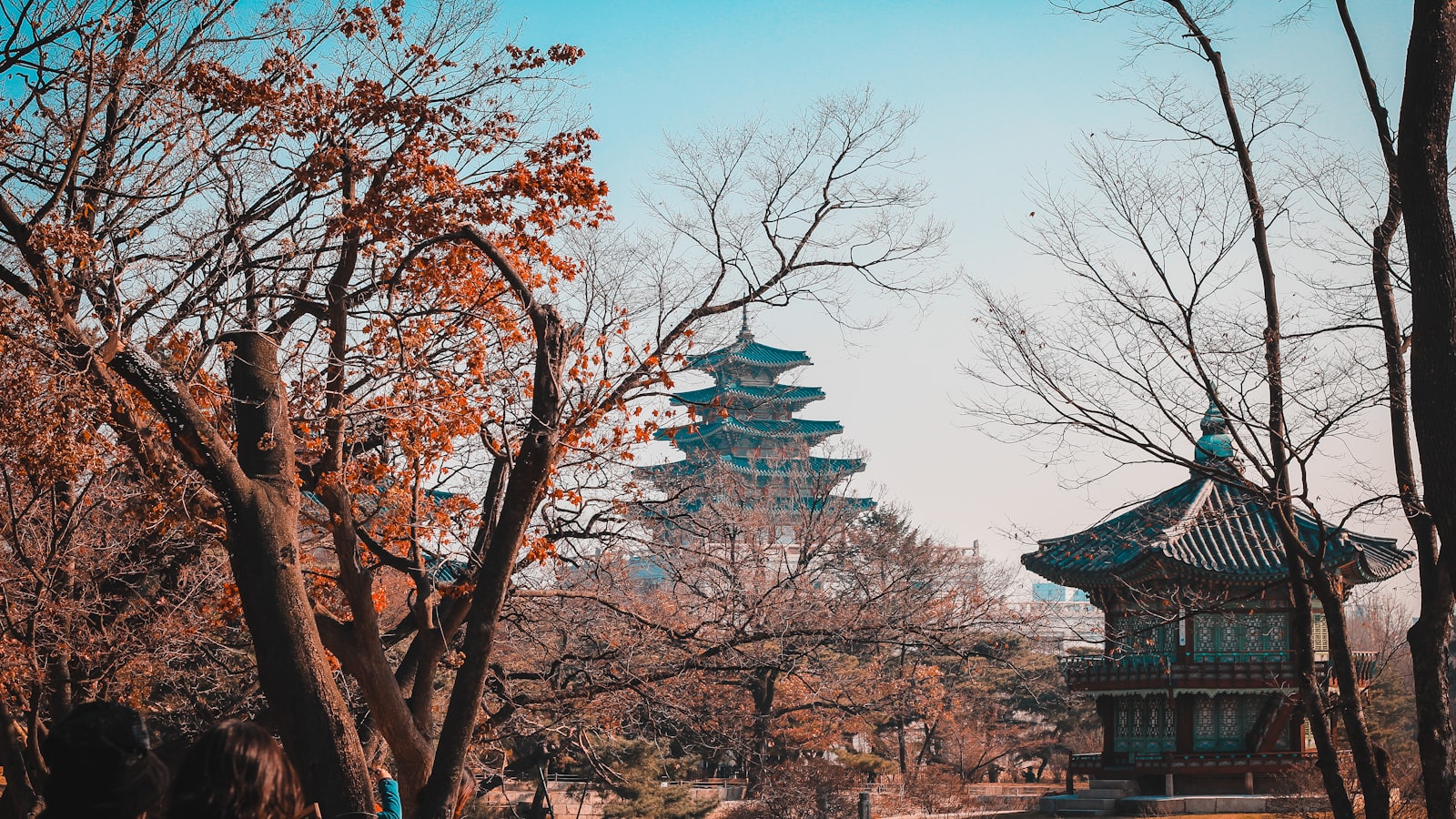 Visa-Free Travel to China from South Korea (2026 Guide) — cover photo