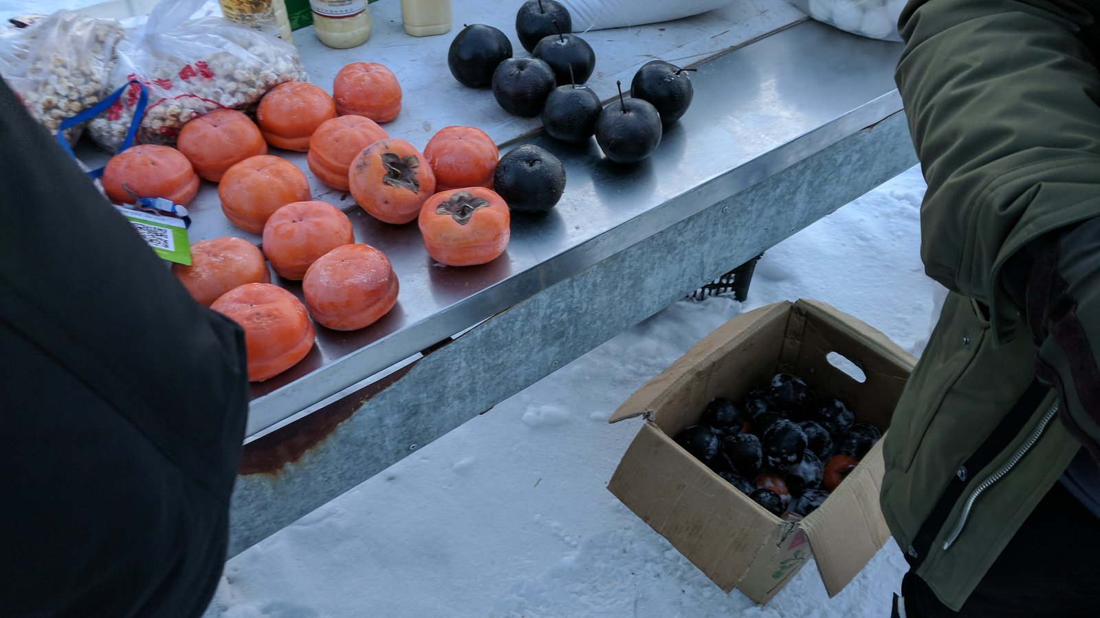 Jilin Rime Island Winter Guide: Wusong Island, China — cover photo