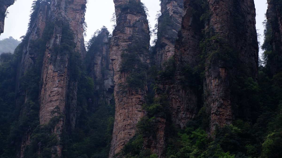 Zhangjiajie’s sandstone pillars, the Avatar mountains
