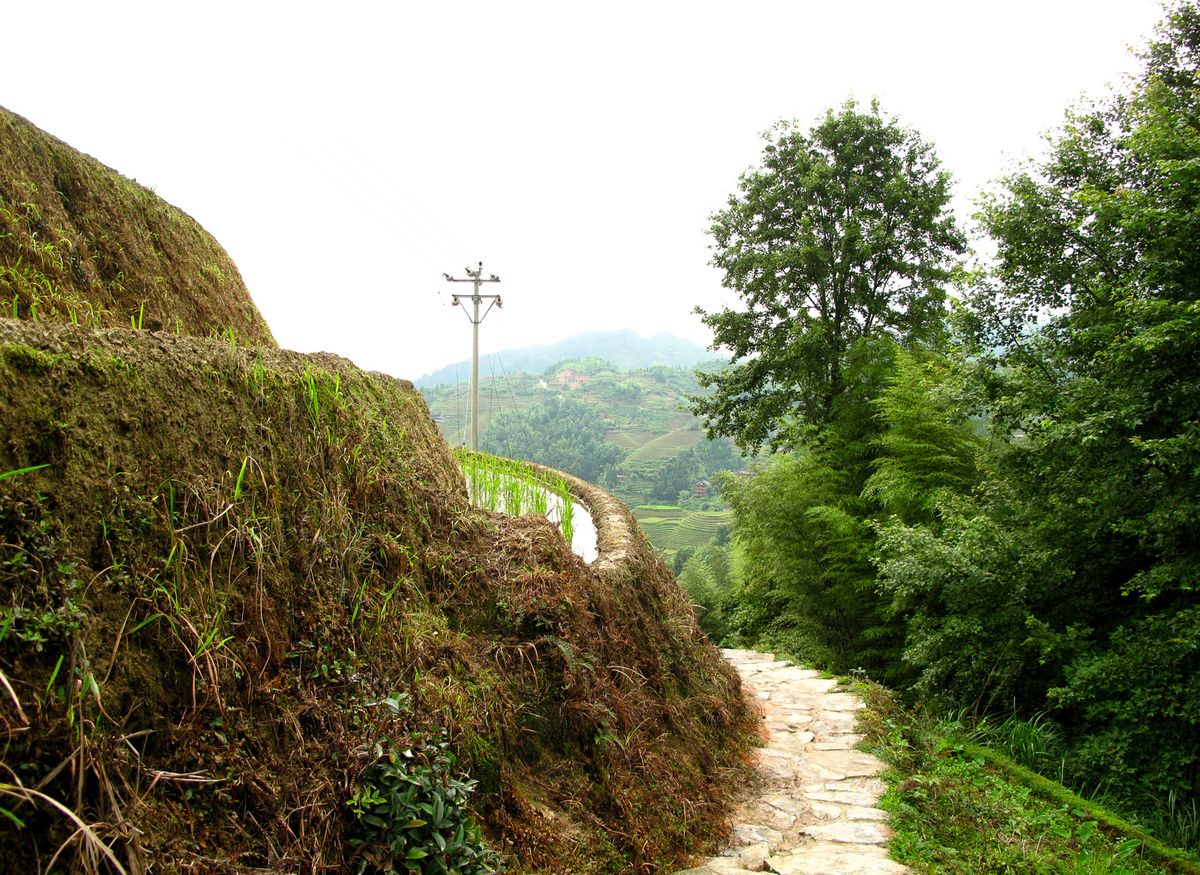 File:Longji Rice Terraces 001.jpg