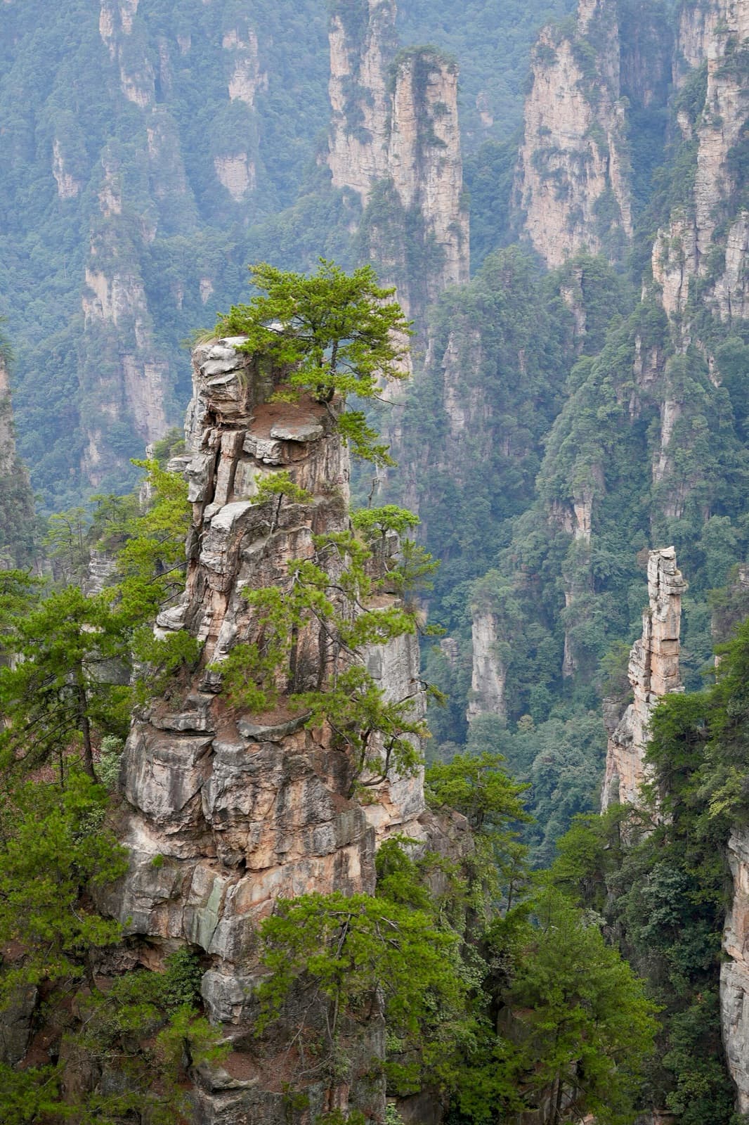 Sandstone spire forest, Zhangjiajie, Hunan